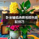 卧室墙纸选择与颜色搭配技巧