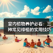 室内植物养护必看：三种常见绿植的实用技巧